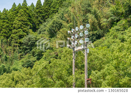 Baseball stadium lighting and lush forest scenery 130165028