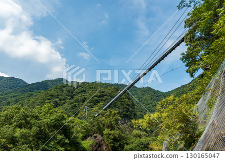 View of Teruha Suspension Bridge from below in Aya Town, Miyazaki Prefecture 130165047