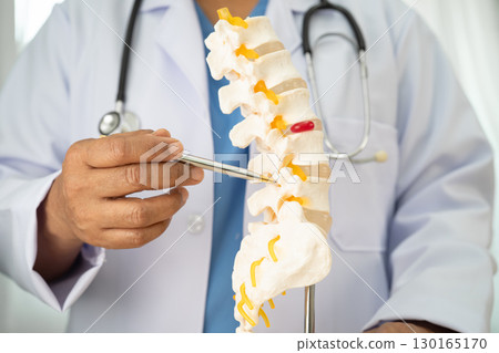 Doctor with lumbar vertebra bone skeleton and nerve model for treatment in the orthopedic department. Doctor with lumbar vertebra bone skeleton and nerve model for treatment in the orthopedic department. 130165170
