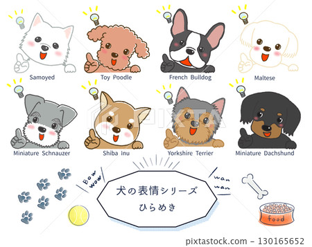 Dog Breed Expression Series: Inspiration Dog Breed Expression Series: Inspiration 130165652