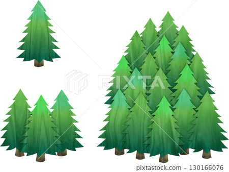 Coniferous trees and greenery Coniferous trees and greenery 130166076