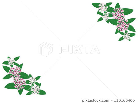 Pentas 粉紅紅白相間的框架 Pentas 粉紅紅白相間的框架 130166400