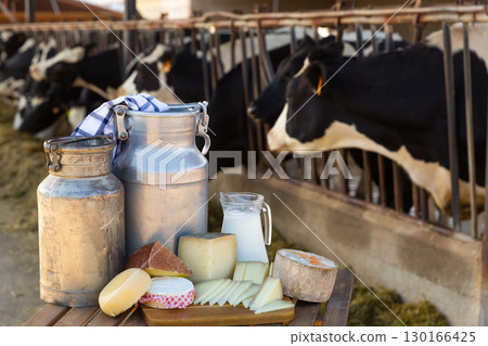 Dairy farm - table with dairy products in background of cows in stall 130166425