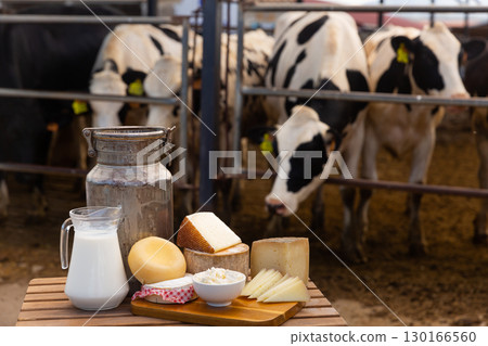 Dairy farm - table with dairy products in background of cows in stall Dairy farm - table with dairy products in background of cows in stall 130166560