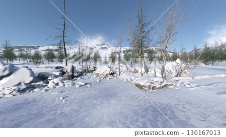 Snowy field 130167013