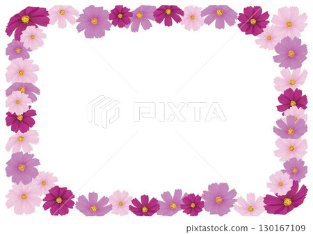 Cosmos pink frame 130167109