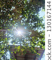 Bright sunlight shining through green tree leaves sunny day, creating lens flare effect and dappled light pattern, with partial view of roof 130167144