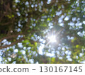 Bright sunlight shining through canopy of green leaves, creating bokeh effect with soft, circular light spots and warm, peaceful atmosphere 130167145