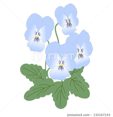 Viola Light Blue Viola Light Blue 130167243