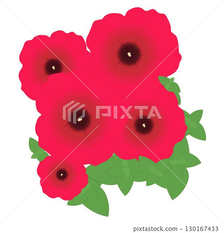 Petunia Red 130167433