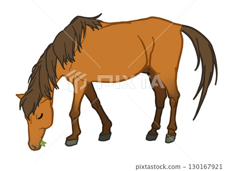Yonaguni horse eating grass Bay horse Pony Yonaguni horse eating grass Bay horse Pony 130167921