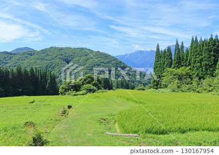 白馬的夏天:青黑梯田 白馬的夏天:青黑梯田 130167954