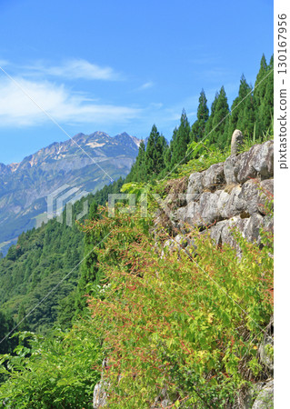 白馬村青鬼的夏天:梯田的石牆 白馬村青鬼的夏天:梯田的石牆 130167956