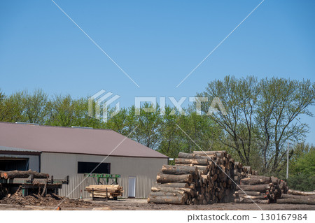 Logs stacked at a sawmill surrounded by greenery on a clear spring day in rural America 130167984
