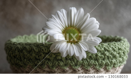Close up photograph of white daisy flower in green knitted basket with gray background, showcasing delicate petals and vibrant yellow green center, evoking freshness and natural beauty 130168033