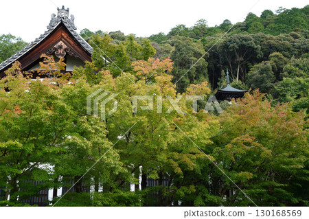 A Kyoto temple garden with hints of autumn 130168569
