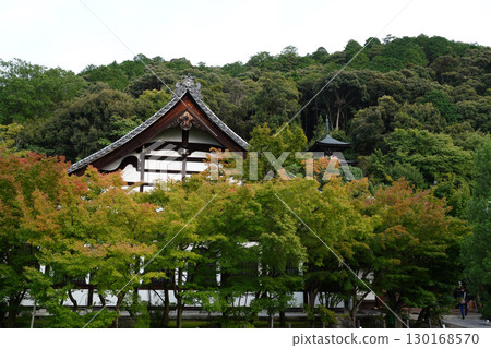 A Kyoto temple garden with hints of autumn 130168570