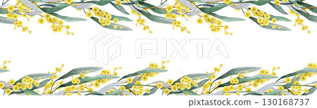Golden wattle branches with flowers and leaves seamless border decor frame. Hand drawn watercolor vintage style illustration. Golden wattle floral elegant design decoration on white background 130168737