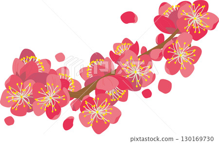 背景材料<花、梅花(部分和塊狀)和花瓣、顏色> 背景材料<花、梅花(部分和塊狀)和花瓣、顏色> 130169730