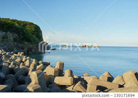 Coast with tetrapod 130171694