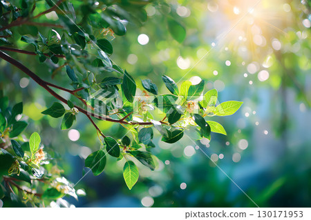 Nature inspired background with blurred green leaves and sunlight bokeh. Perfect for eco, wellness, and organic themes. 130171953