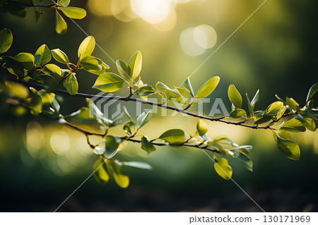 Nature inspired background with blurred green leaves and sunlight bokeh. Perfect for eco, wellness, and organic themes. 130171969