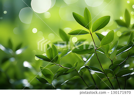 Nature inspired background with blurred green leaves and sunlight bokeh. Perfect for eco, wellness, and organic themes. Nature inspired background with blurred green leaves and sunlight bokeh. Perfect for eco, wellness, and organic themes. 130171970