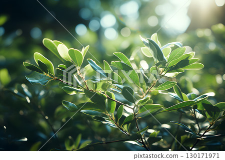 Nature inspired background with blurred green leaves and sunlight bokeh. Perfect for eco, wellness, and organic themes. Nature inspired background with blurred green leaves and sunlight bokeh. Perfect for eco, wellness, and organic themes. 130171971