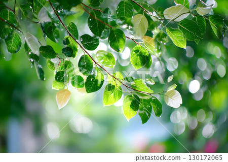 Nature inspired background with blurred green leaves and sunlight bokeh. Perfect for eco, wellness, and organic themes. 130172065