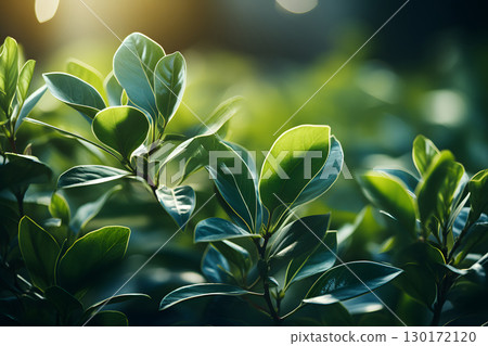 Nature inspired background with blurred green leaves and sunlight bokeh. Perfect for eco, wellness, and organic themes. 130172120