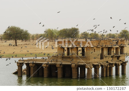 Pigeons Flying in a Sky 130172287