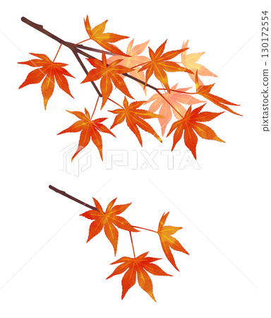 秋葉樹枝,水彩風格,陰影 秋葉樹枝,水彩風格,陰影 130172554