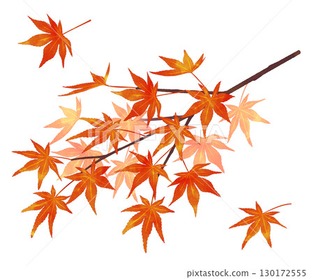 秋葉樹枝，水彩風格，陰影 130172555