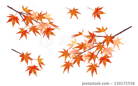 秋葉樹枝，水彩風格，陰影 130172556