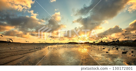 Seagull Beach Sunset Lift Off 130172801