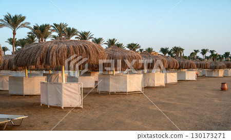 Row of Thatched Umbrellas on Marsa Alam Beach 130173271