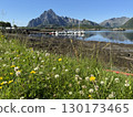 Fisherman's shack in Norway 130173465
