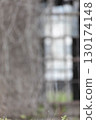 模糊的背景 130174148