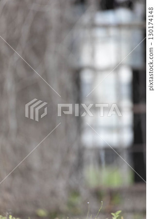 模糊的背景 模糊的背景 130174148