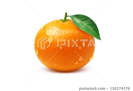 Mandarin orange illustration realistic white background 130174376