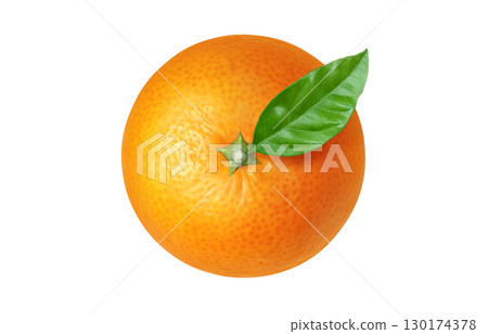 橘子插圖逼真的白色背景 130174378