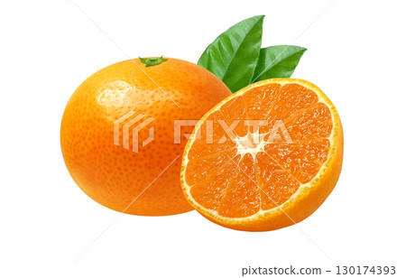 Mandarin orange illustration realistic white background Mandarin orange illustration realistic white background 130174393