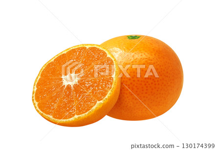 橘子插圖逼真的白色背景 130174399
