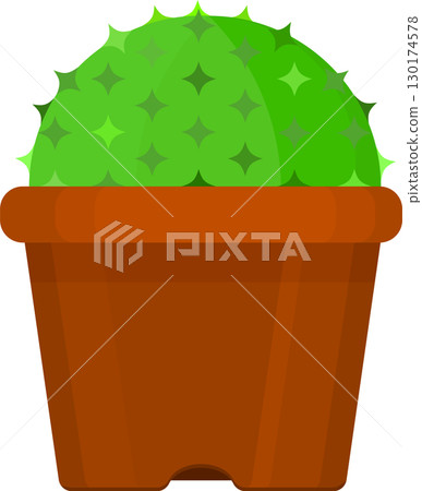 round cactus illustration 130174578