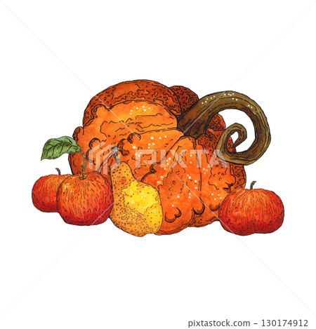 Bright, autumn composition of red apples, pumpkin and pear. Hand-drawn illustration with watercolor and ink. Drawing for poster, print, scrapbooking. Autumn, harvest, fruits, food, diet, vitamins Bright, autumn composition of red apples, pumpkin and pear. Hand-drawn illustration with watercolor and ink. Drawing for poster, print, scrapbooking. Autumn, harvest, fruits, food, diet, vitamins 130174912