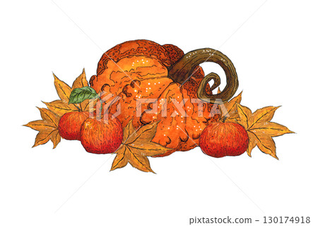 Autumn composition of apples, leaves and pumpkins. Watercolor illustration hand drawn. Drawing for stickers, poster, scrapbooking. Autumn, harvest, maple leaf, pumpkin, orange Autumn composition of apples, leaves and pumpkins. Watercolor illustration hand drawn. Drawing for stickers, poster, scrapbooking. Autumn, harvest, maple leaf, pumpkin, orange 130174918