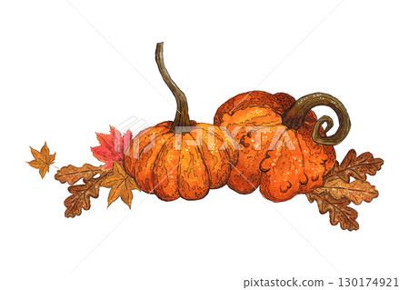 Autumn composition of leaves and pumpkins. Watercolor illustration hand drawn. Drawing for stickers, poster, scrapbooking. Autumn, harvest, maple leaf, pumpkin, orange 130174921