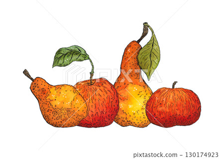 Bright, autumn composition of apples and pears. Hand-drawn illustration with watercolor and ink. Drawing for poster, print, scrapbooking. Autumn, harvest, fruits, food, diet, vitamins 130174923