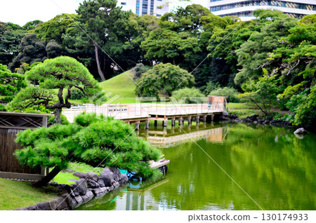 濱離宮恩賜庭園 - 海手大亭橋 130174933