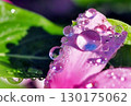 Rain jewelry 130175062